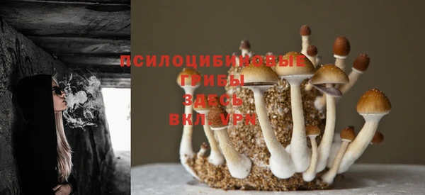 кокаин колумбия Бородино