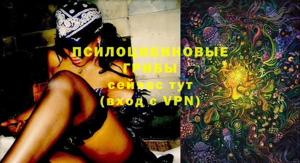 кокаин колумбия Бородино
