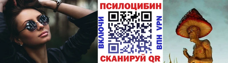 продажа наркотиков  Новокубанск  Псилоцибиновые грибы мухоморы 