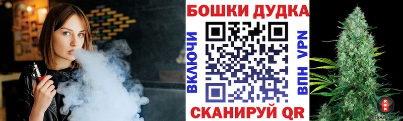 Конопля семена Новокубанск